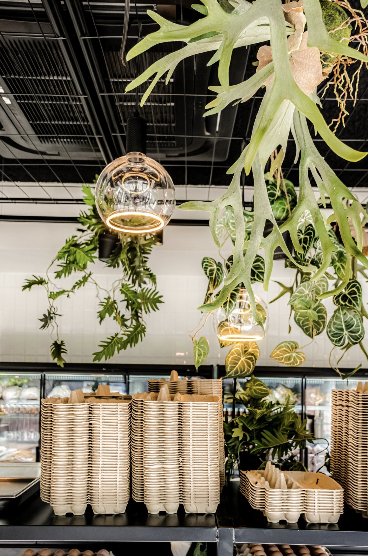Shop Epe — beplanting en verpakkingen