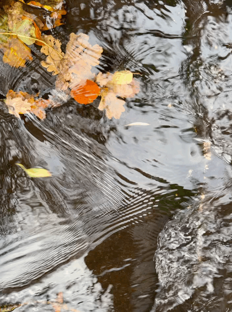 Onderzoek IJsselvallei